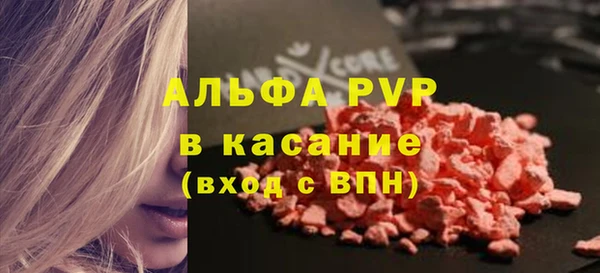 дмт Богданович