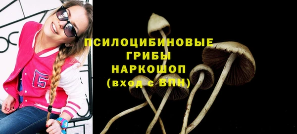 наркотики Белокуриха