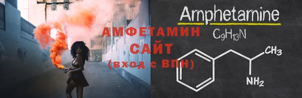дмт Богданович