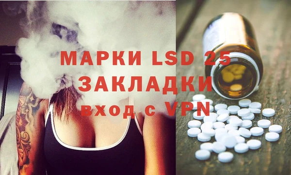 дмт Богданович