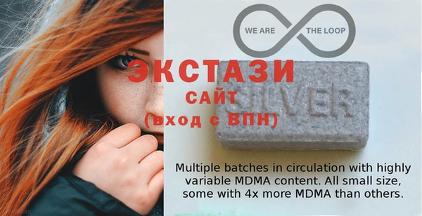 дмт Богданович