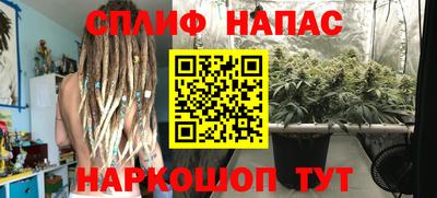сатива Гусь-Хрустальный