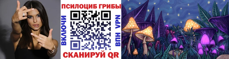 ссылка на мегу ссылка  Надым  Псилоцибиновые грибы GOLDEN TEACHER 