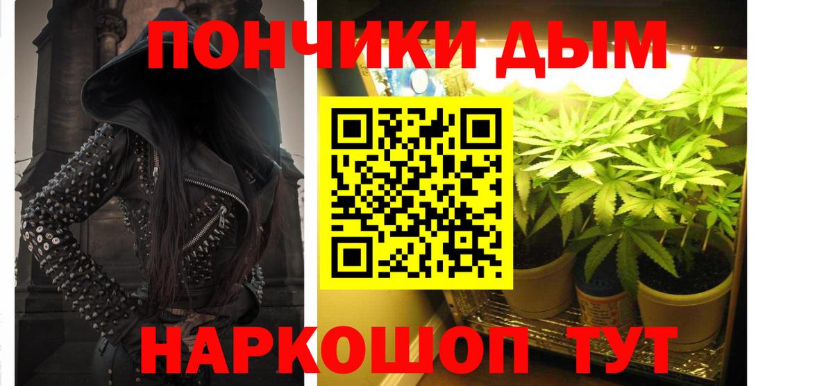 Каннабис план  Вход с VPN  МАРИХУАНА ГИДРОПОН  Надым  Каннабис сатива 