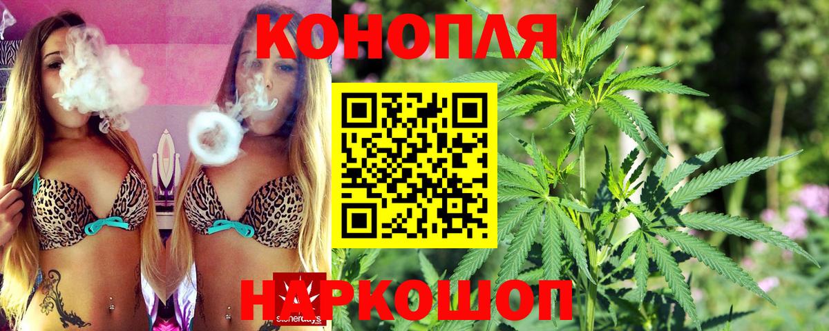 Бошки марихуана план Надым
